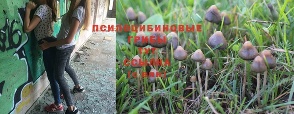 твердый Белоозёрский