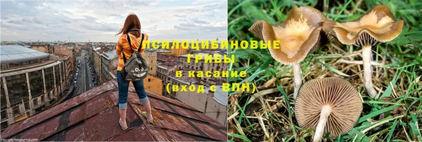 амф Белокуриха