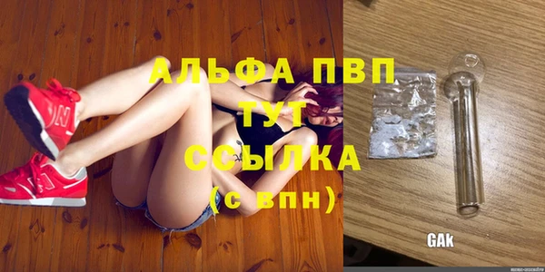 амф Белокуриха